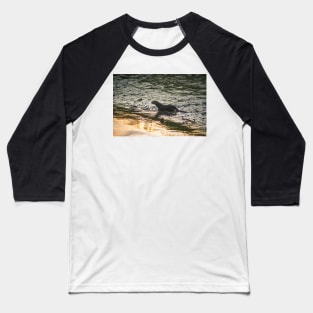 River Otter 2 Baseball T-Shirt